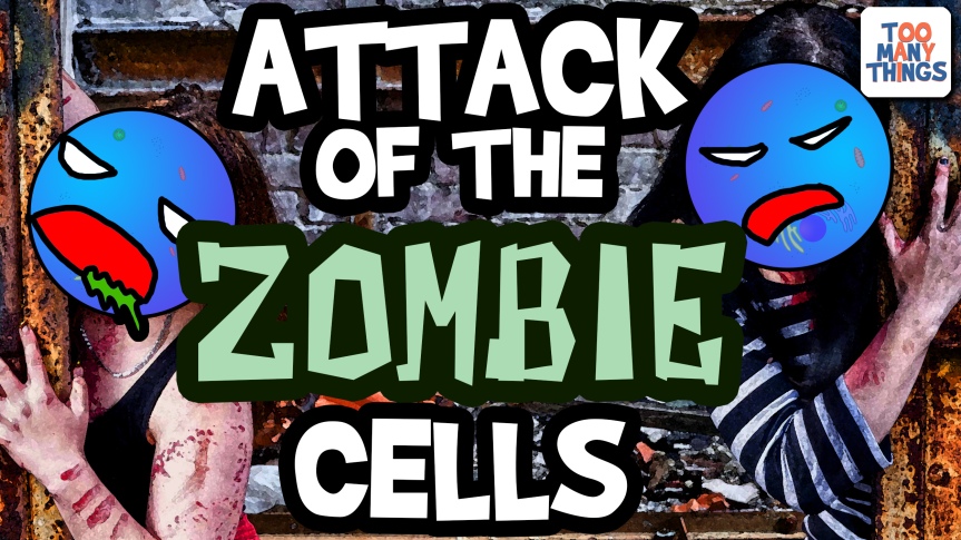 New video: When cells become zombies